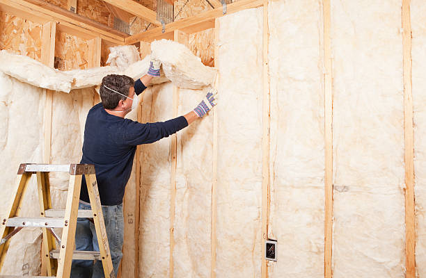 Best Commercial Insulation Services  in USA